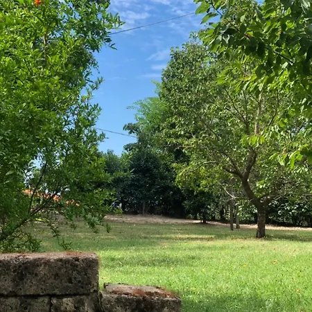 Apartment Lodge, In Mezzo Alla Natura Roccatederighi